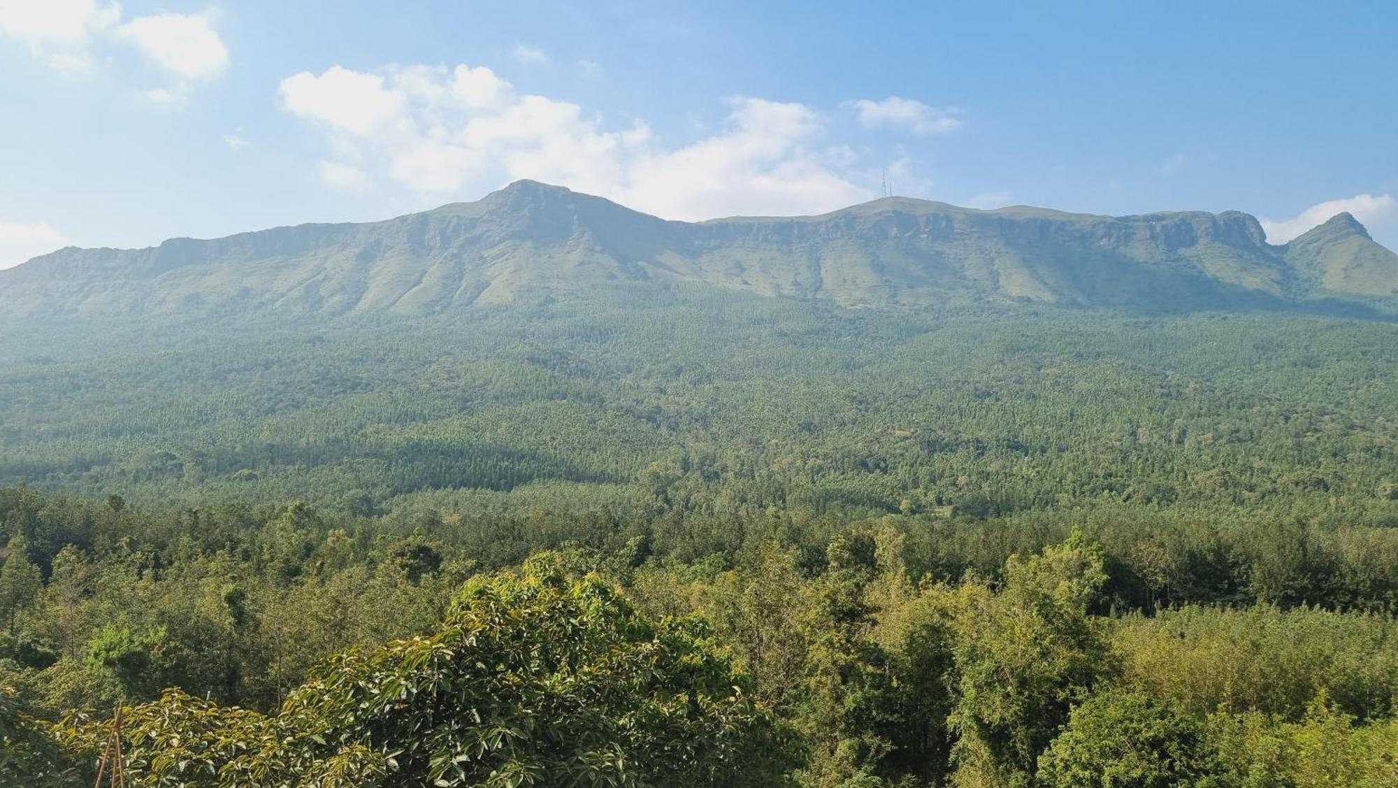 The Inchara Hill View Homestay Chikmagalūr Extérieur photo
