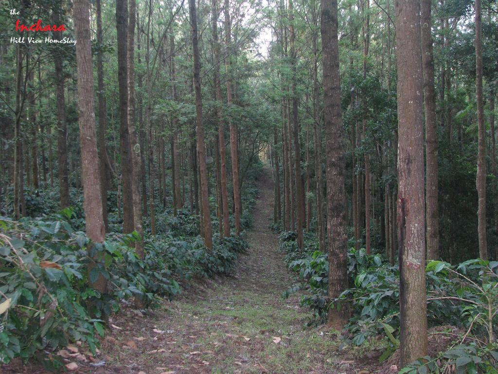 The Inchara Hill View Homestay Chikmagalūr Extérieur photo